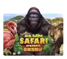 Big Game Safari